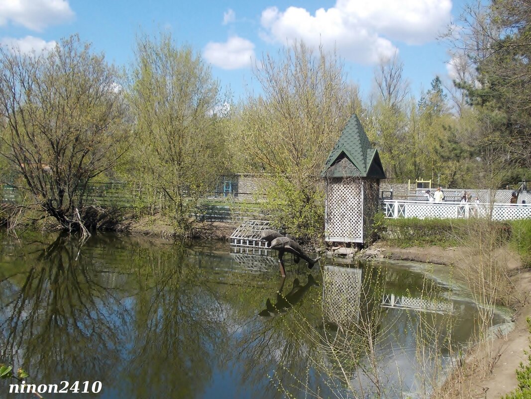 В ростовском зоопарке - Нина Бутко