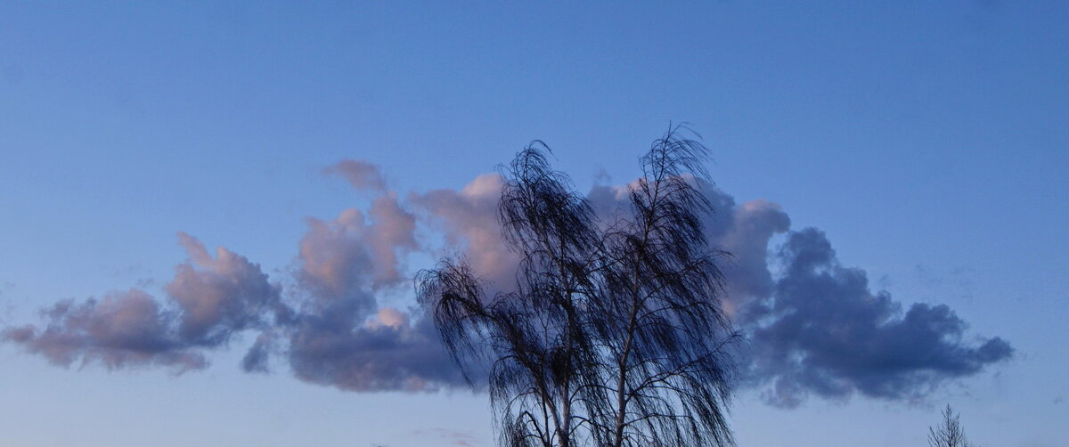 Вечернее облако - сергей 