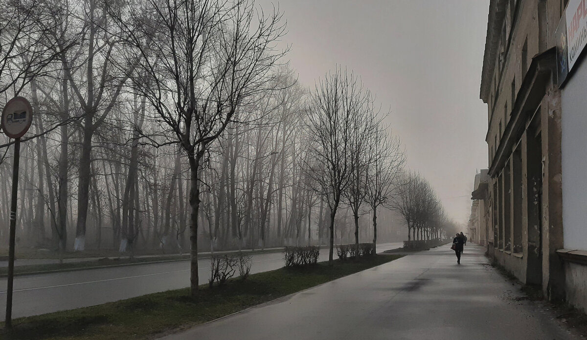 На главной улице в тумане - Олег Загорулько