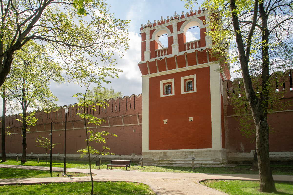 Донской монастырь - Роман Шаров