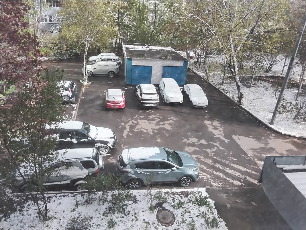 Вчера снег выпал... - Дмитрий Никитин