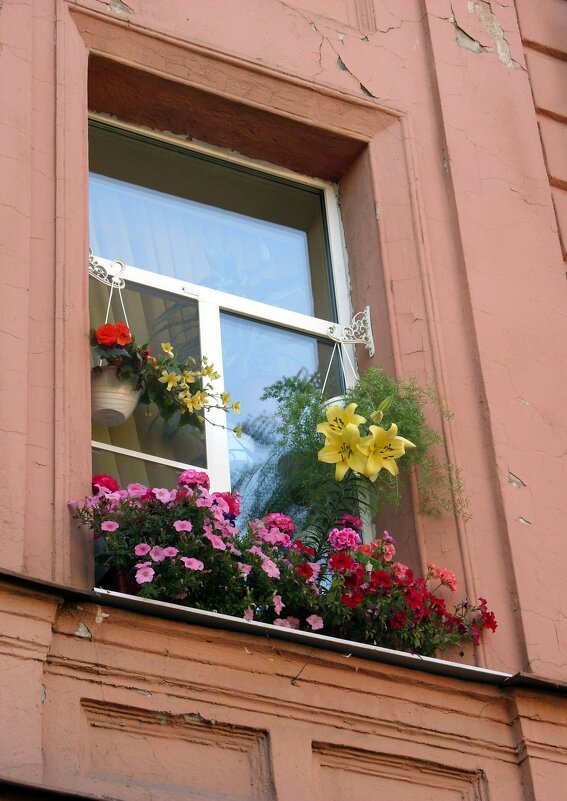 Цветы на окне. - Ирина ***