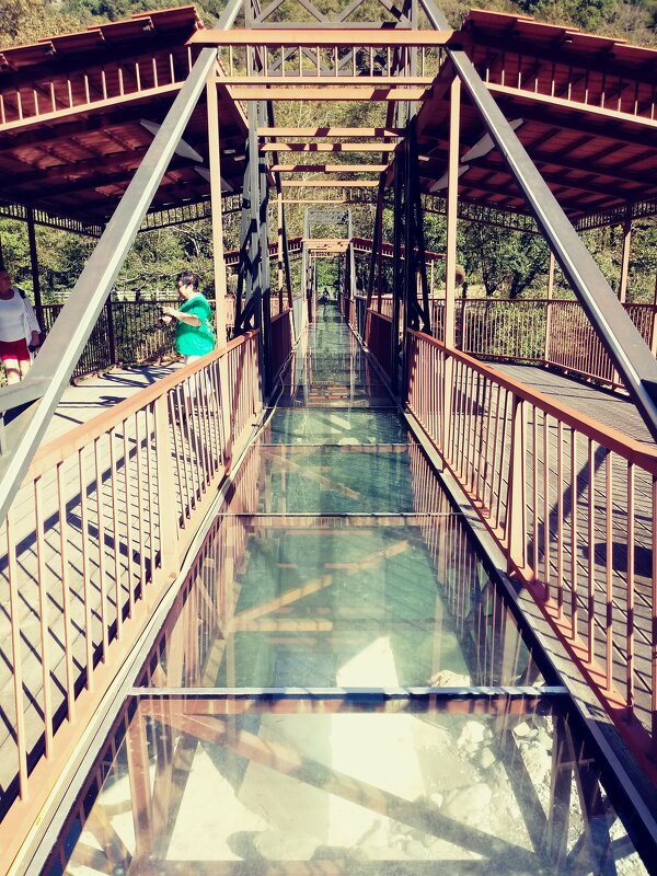 Пропасть под ногами: стеклянный мост в Бзыбском ущелье - Елена (ЛенаРа)
