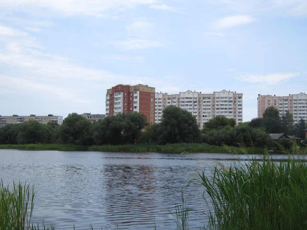 Александровка, лето, конаково - Strannik M