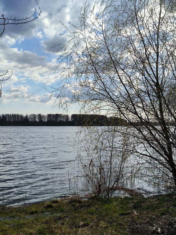 Озеро Бологое. - Ольга 
