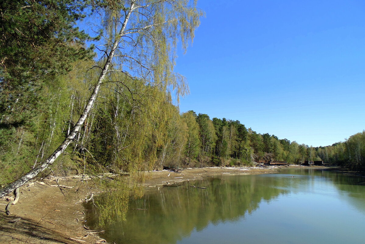 Речка " Раздельная " .  Вода отошла . - Мила Бовкун