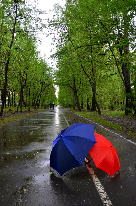 После дождя... - Сергей Коновалов