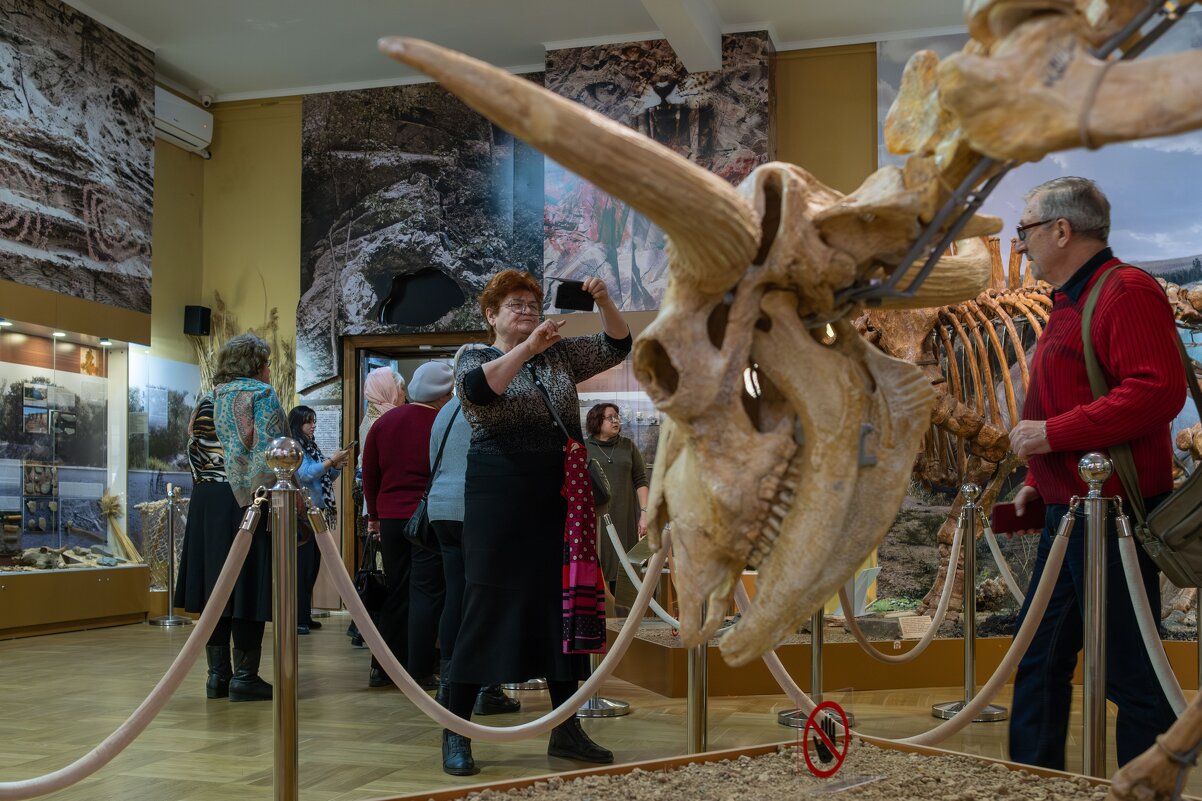 Заглянув в эпоху динозавров - Инесса Кан
