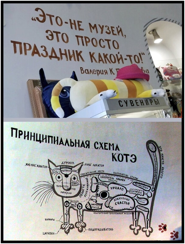 Зеленоградский музей кошек «Мурариум» - Ольга Довженко