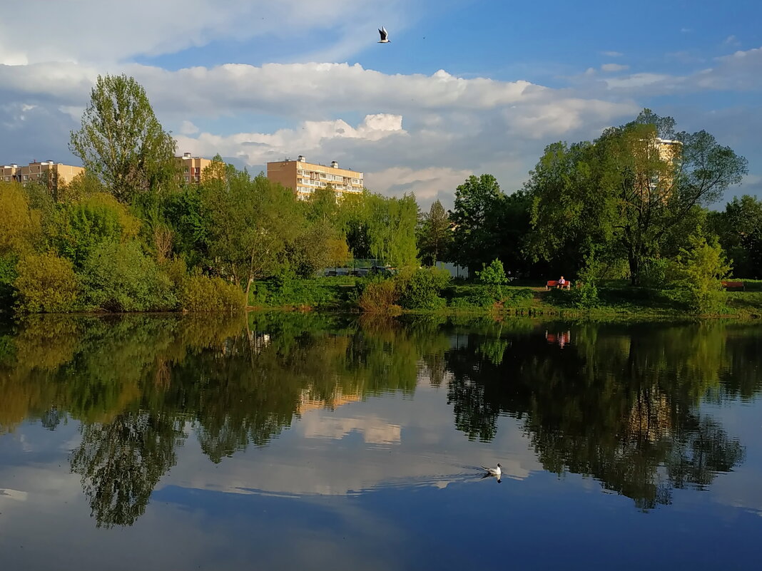 Водоплавающая = воздухолетающая - Андрей Лукьянов