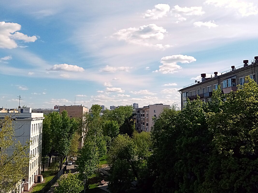 Мои окрестности. - Владимир Драгунский