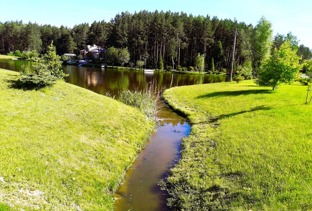 Вода и зелень - Валентина 