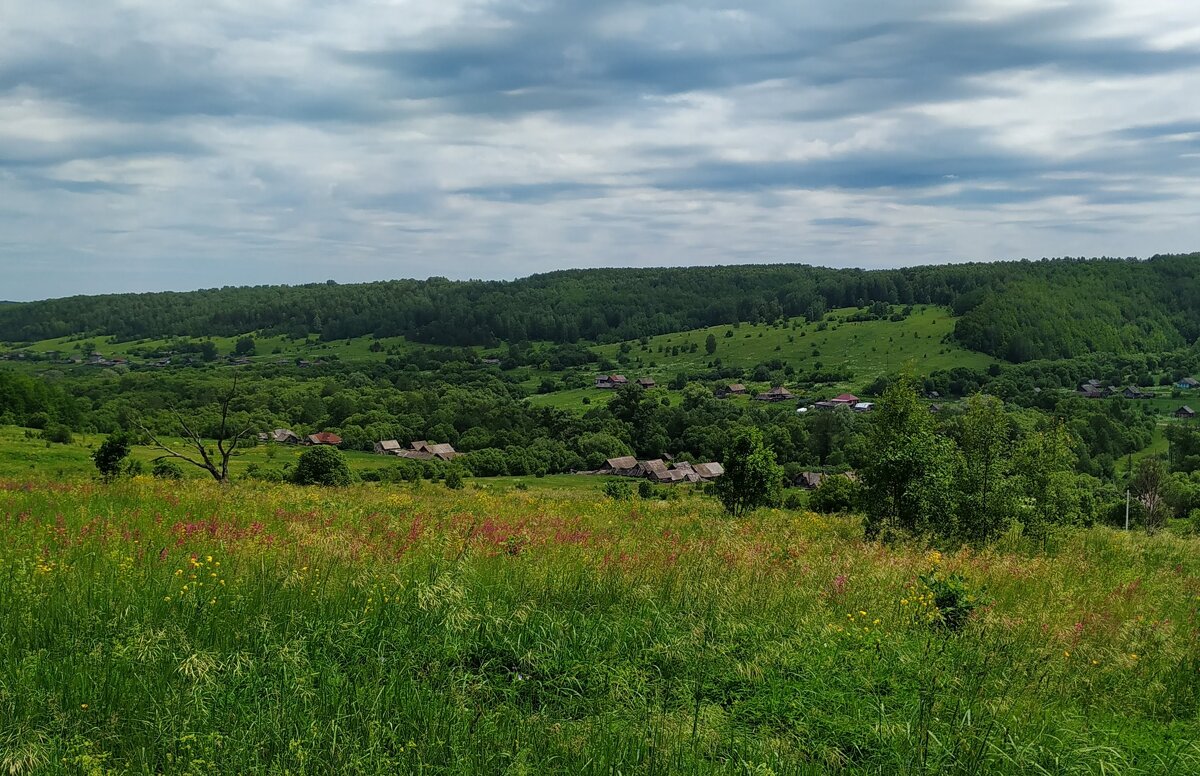 Пасмурно - Пасечник 