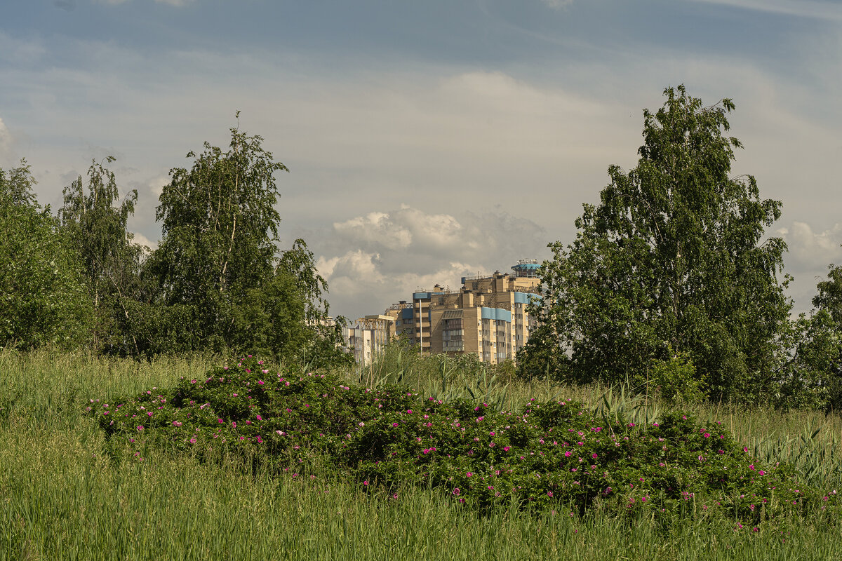 лето в городе - Наталия 