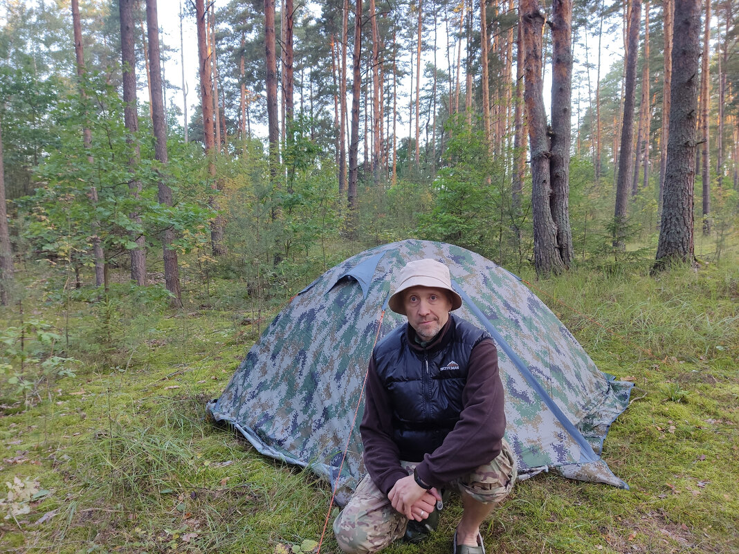 Утро в лесу - Денис Бочкарёв