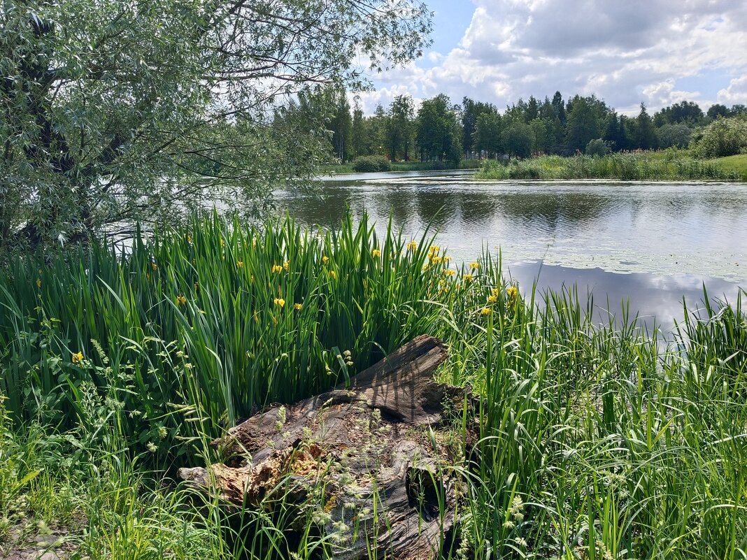 По берегу. - Мария Васильева