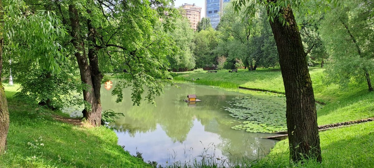 Воронцовский парк в Москве - Ирэн 