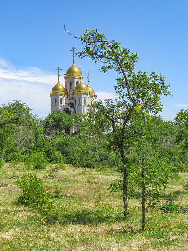 Храм Всех Святых на Мамаевом кургане - Валерий Ткаченко