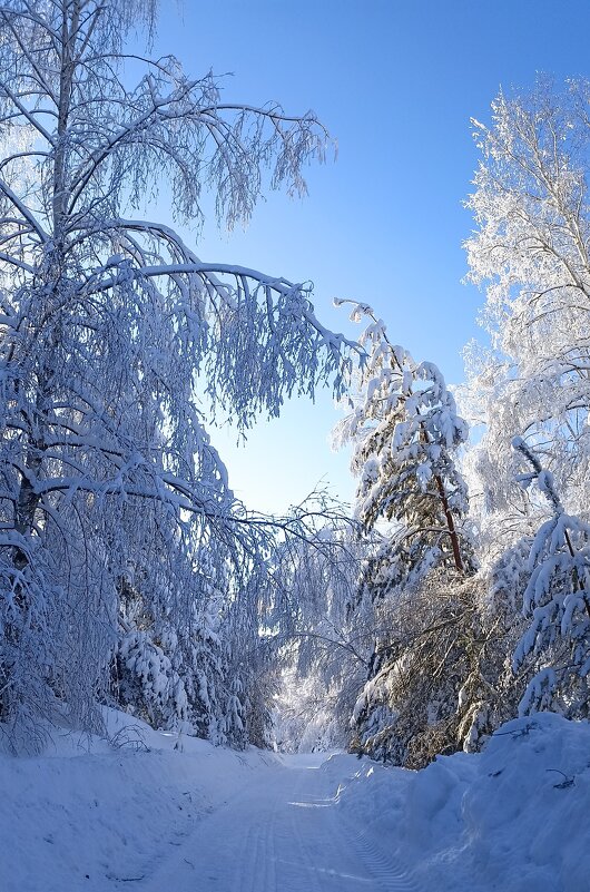 Зимнее - Пасечник 