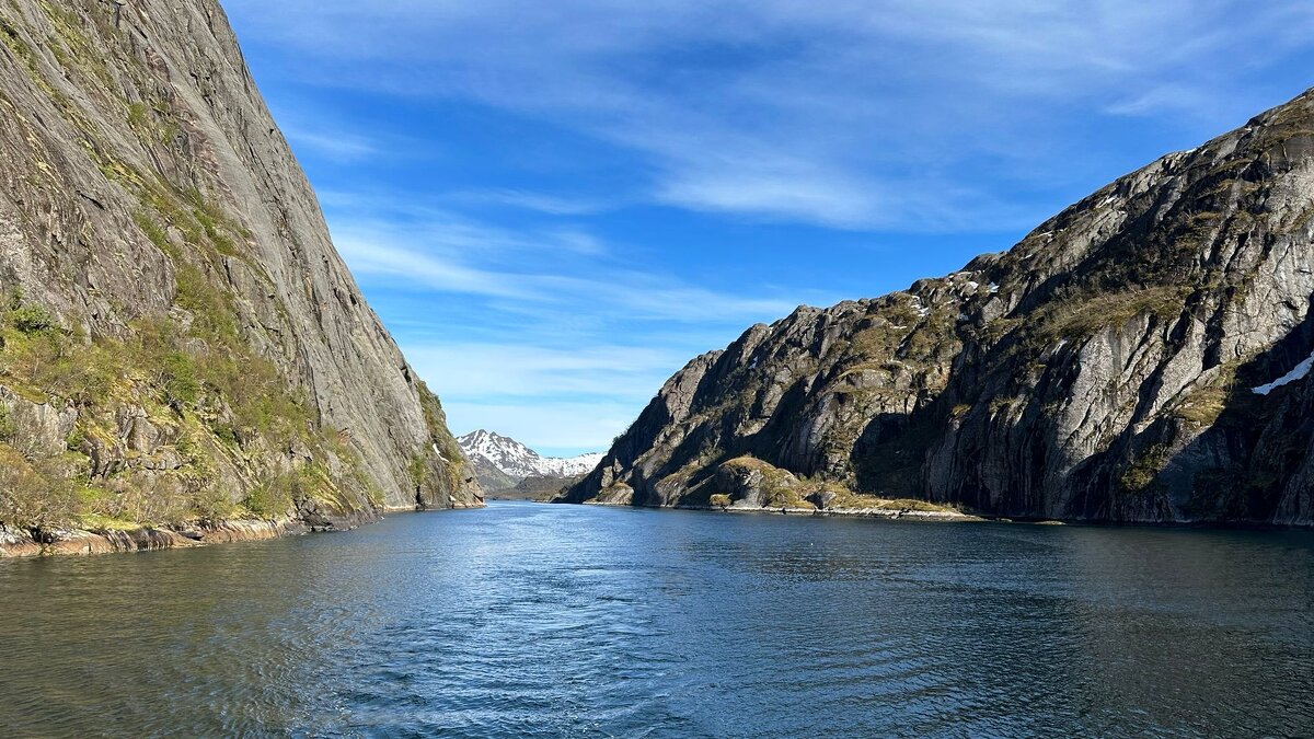 Ein Sommer im Nordpolarmeer / Norwegen / - "The Natural World" Александер