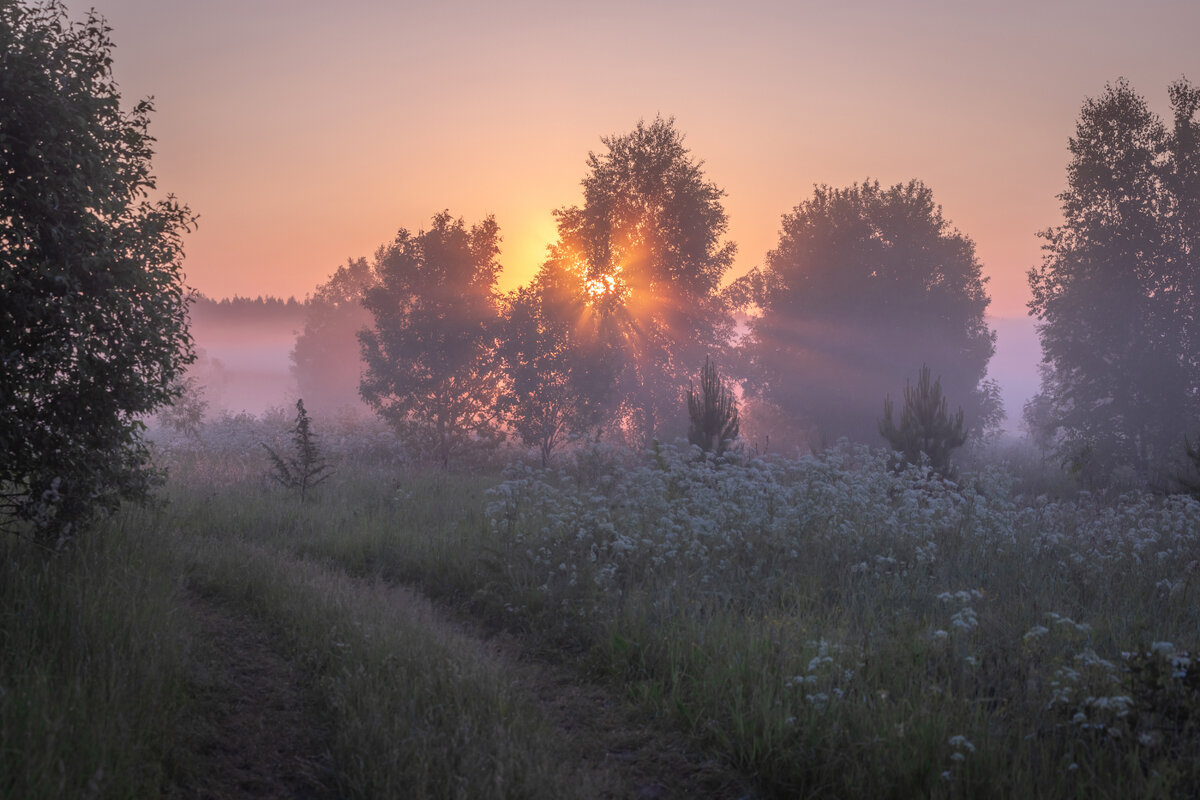 **** - Елизавета .