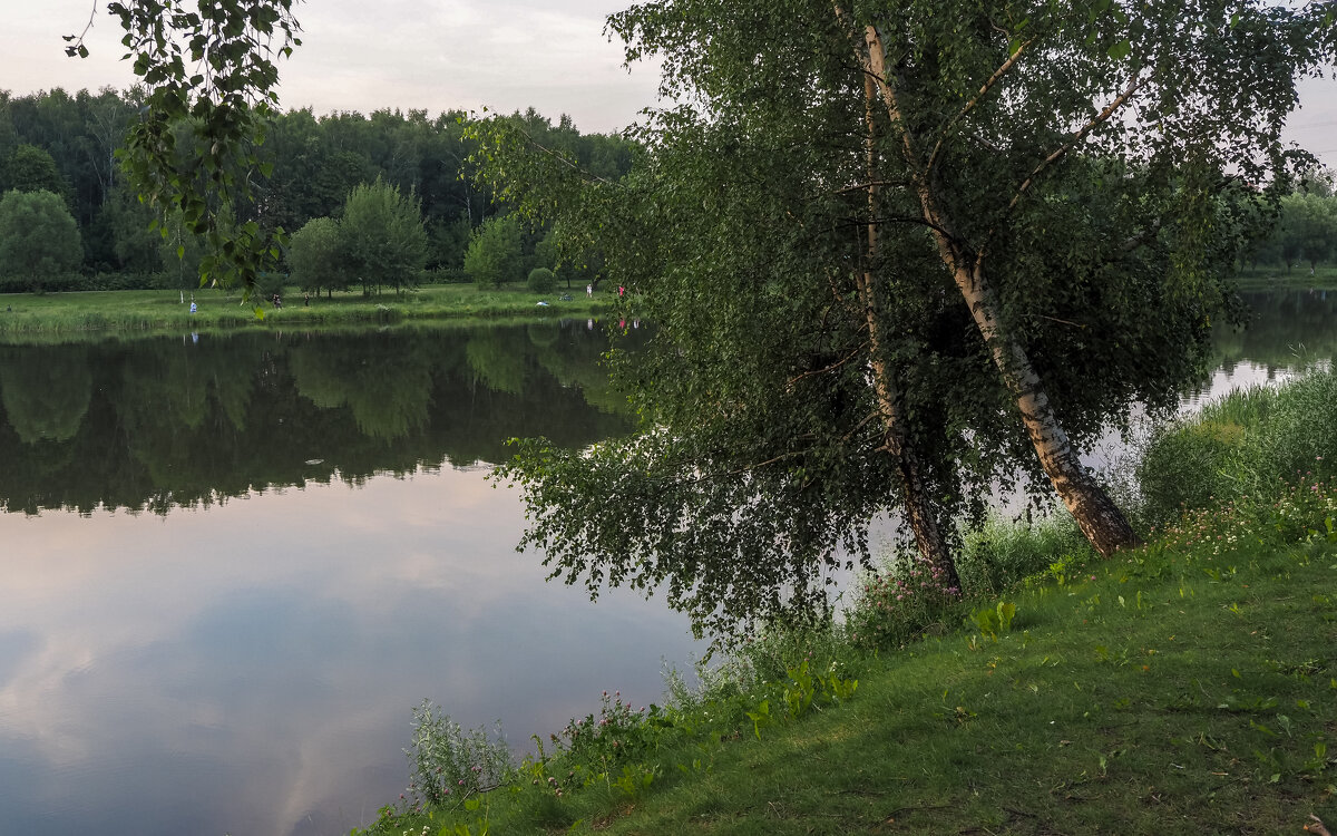 У Тихой Воды - юрий поляков