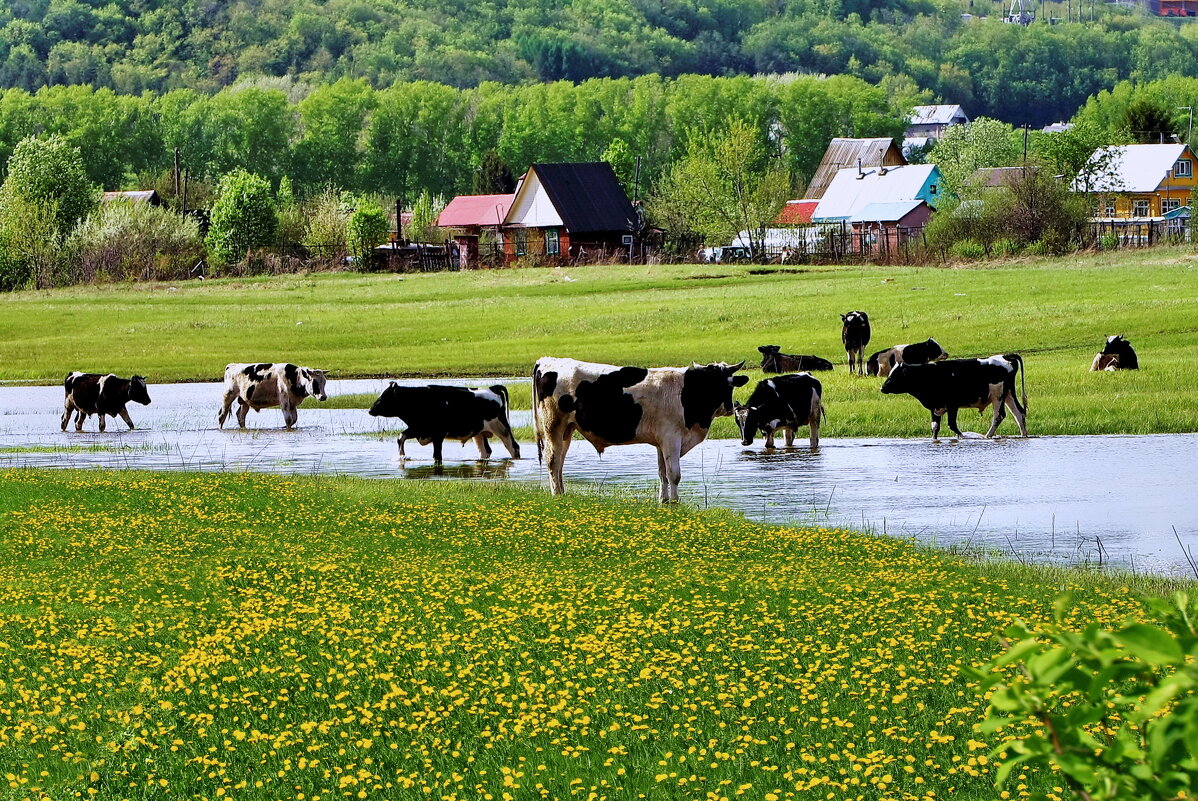 Жаркий день. - Николай Рубцов