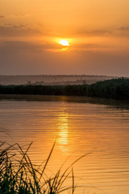 *** - Николай С