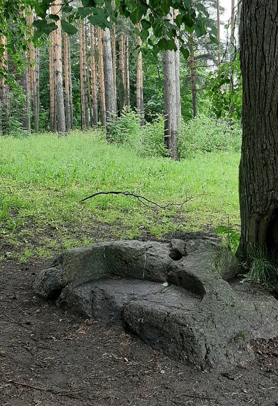 Баболовский парк - Наталья Герасимова