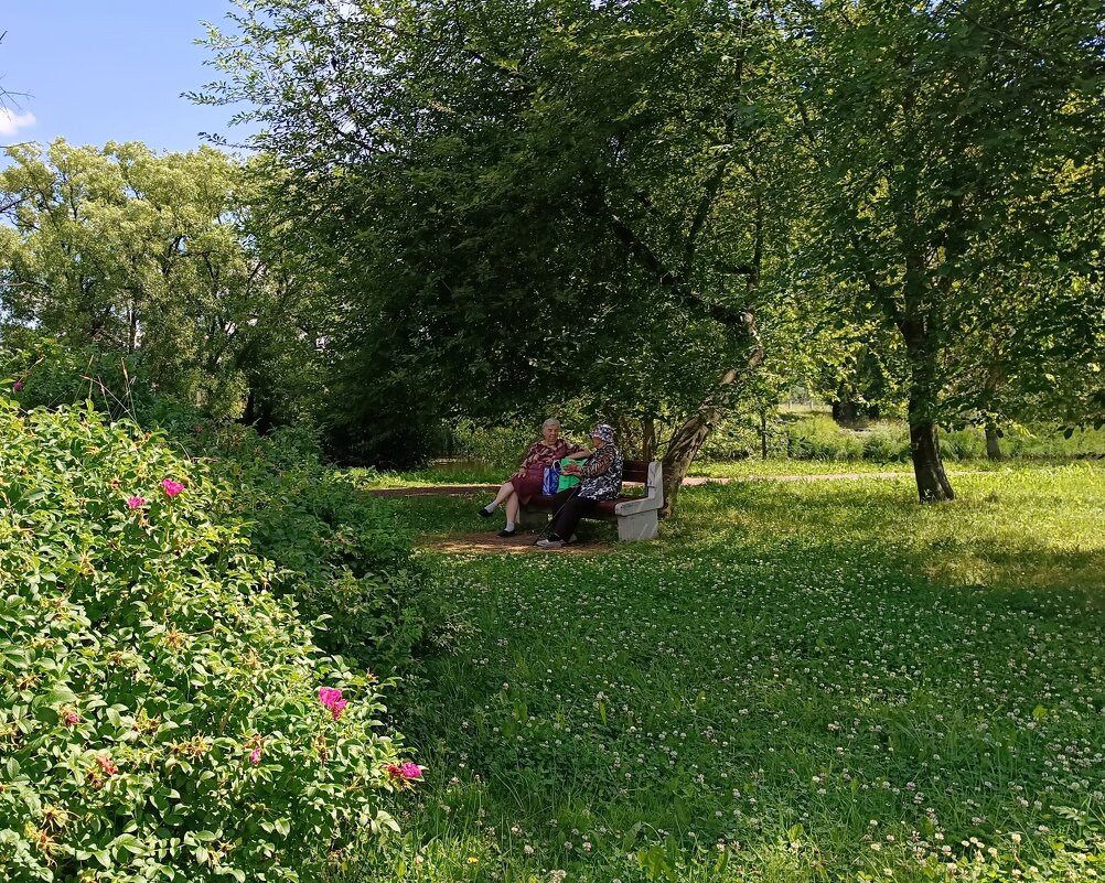 В сквере у Харламова ручья - Мария Васильева