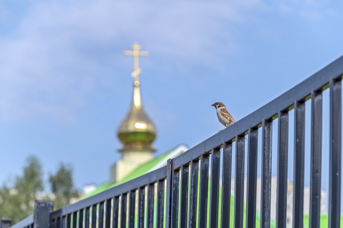 Любитель  послушать  колокольный звон - Валерий Иванович