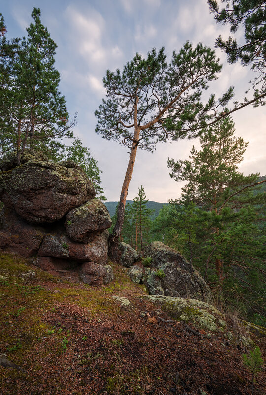 * - Александр Иванов