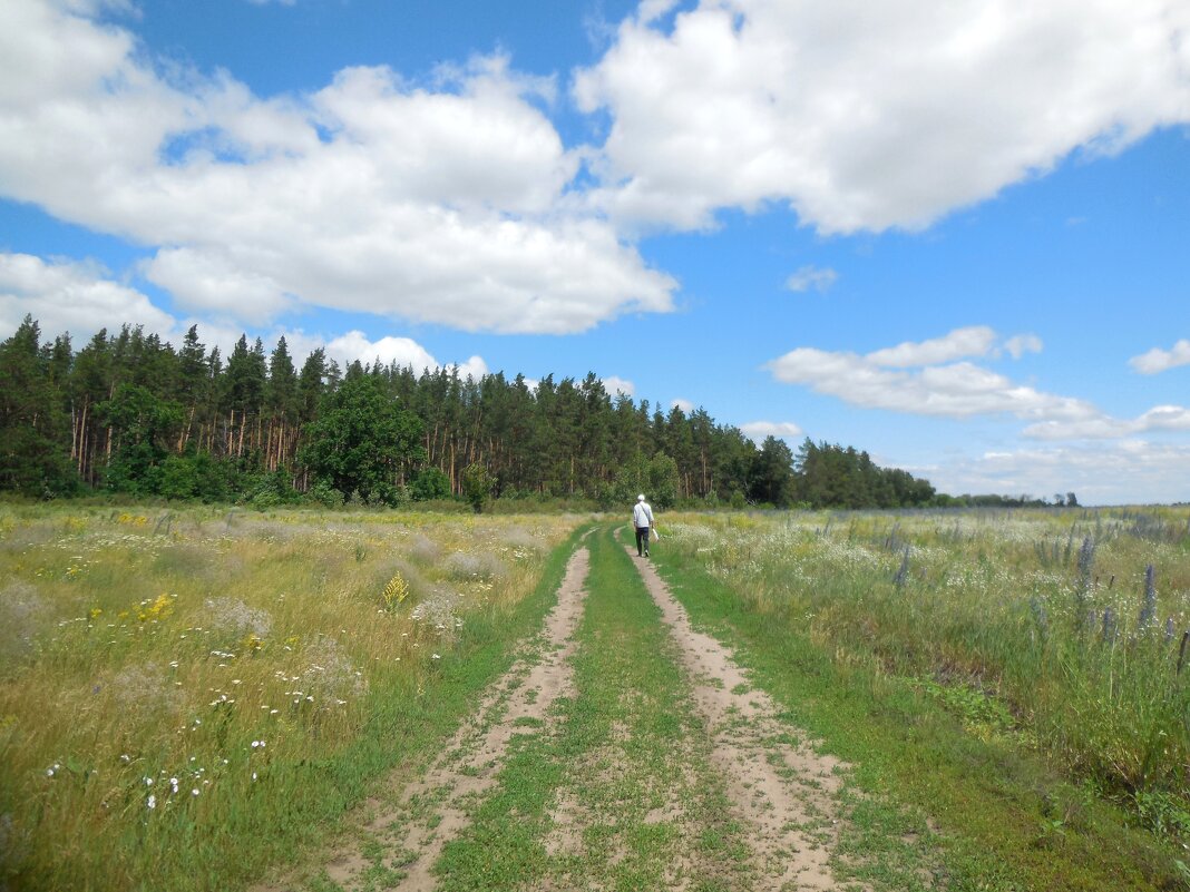 В лес за грибами и ягодами - Надежда 