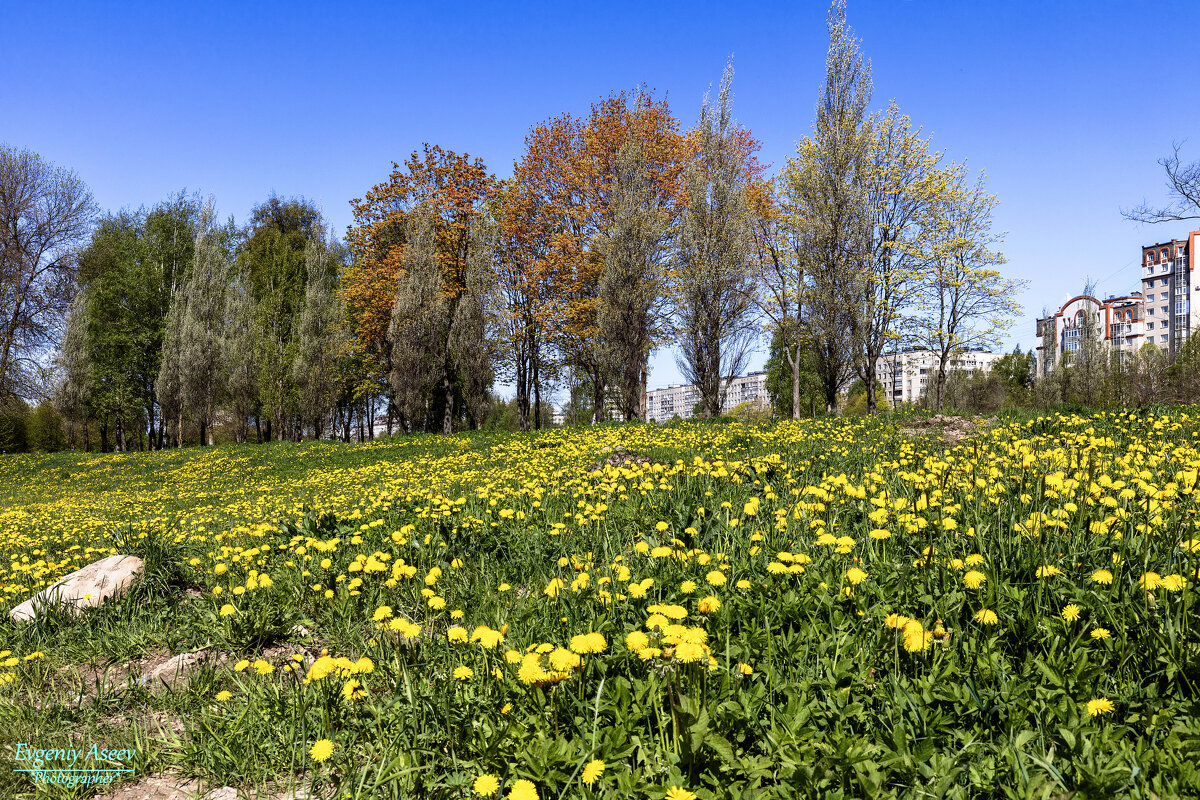 Весна в городе - Евгений 