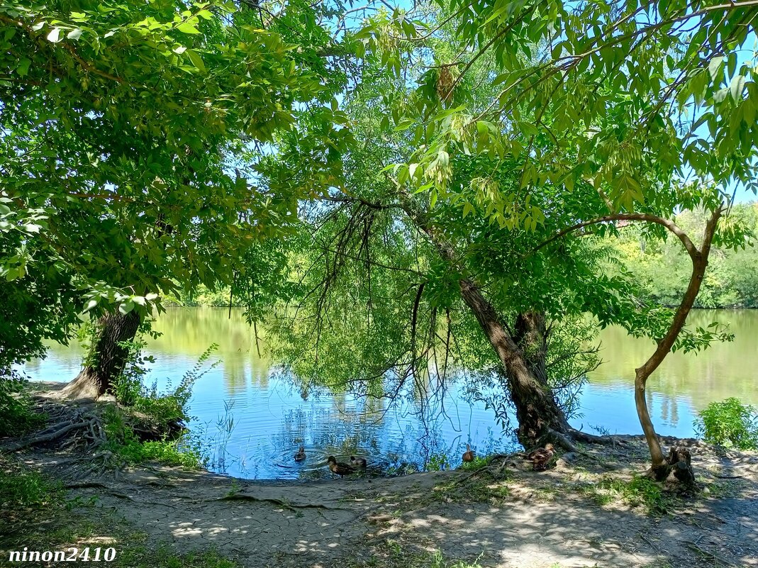 В ростовском зоопарке - Нина Бутко