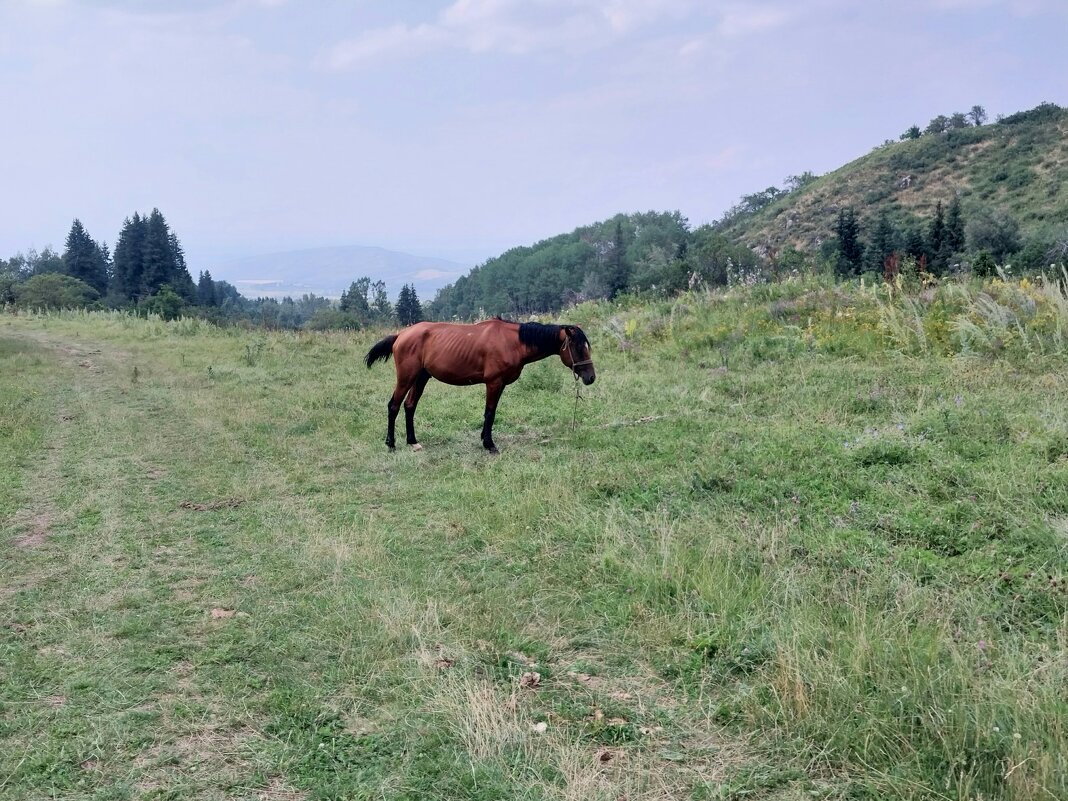 Ak Bulak. - Murat Bukaev 