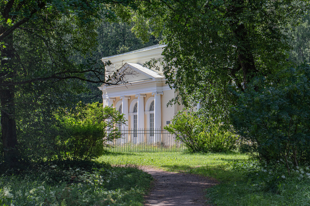 Павловк - navalon M