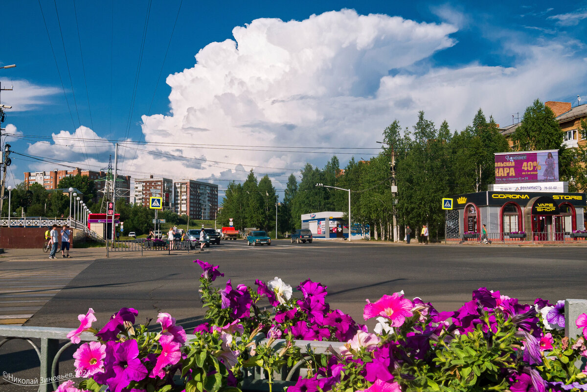 Ухта в июле - Николай Зиновьев