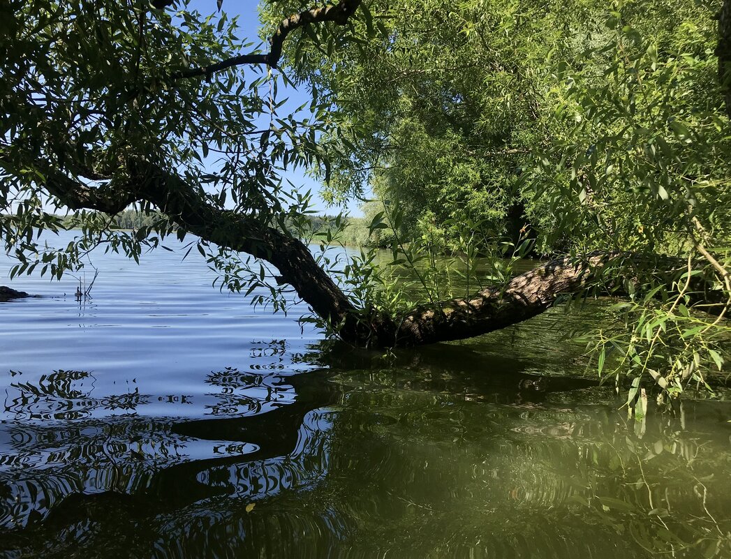 У воды… - Любовь 