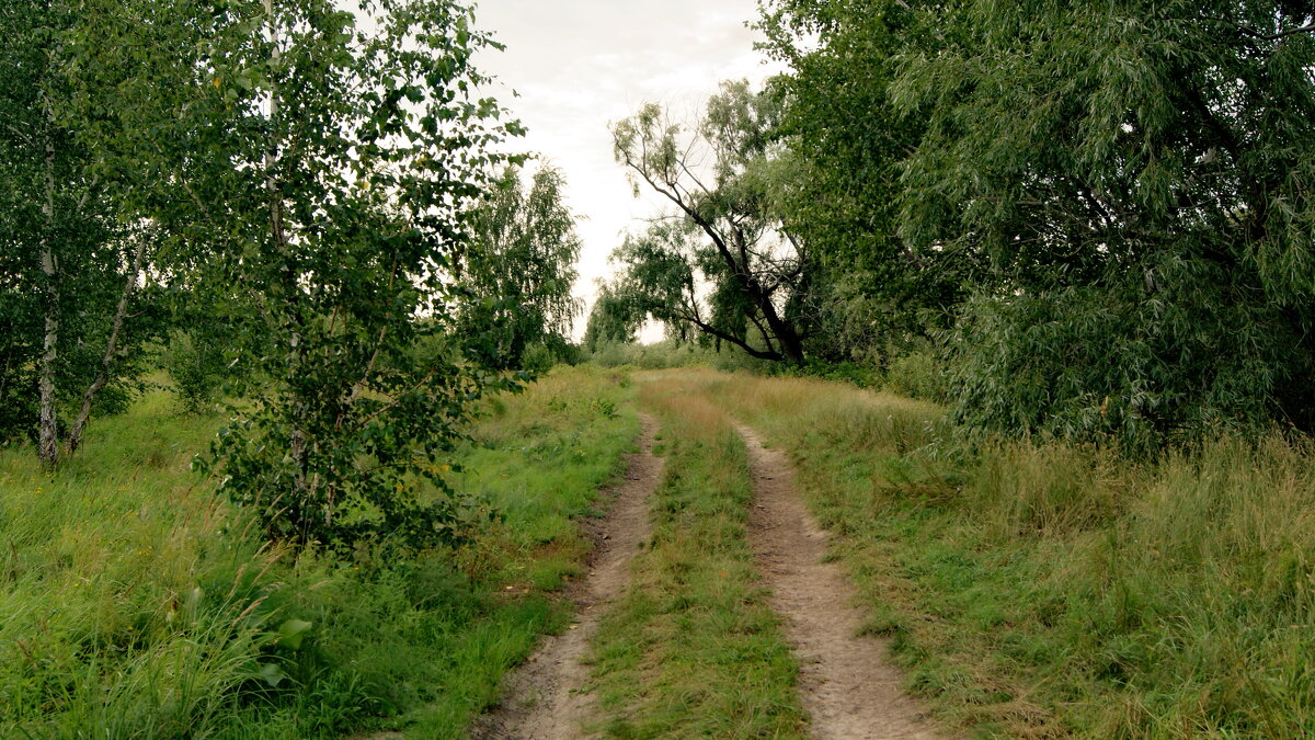 Дорога в август. - сергей 