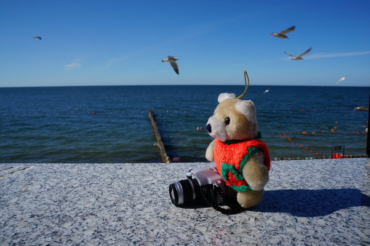 Путешествия Teddy Bear... - Алёна Савина