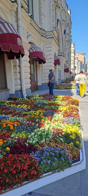 В центре Москвы - Ирэн 