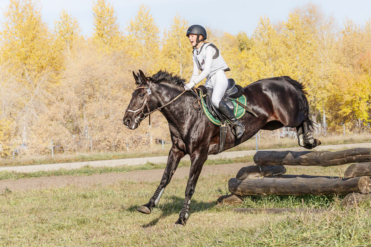 Кросс - SanSan 