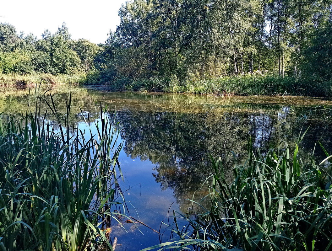 Белое небо, синяя вода - Александр Чеботарь