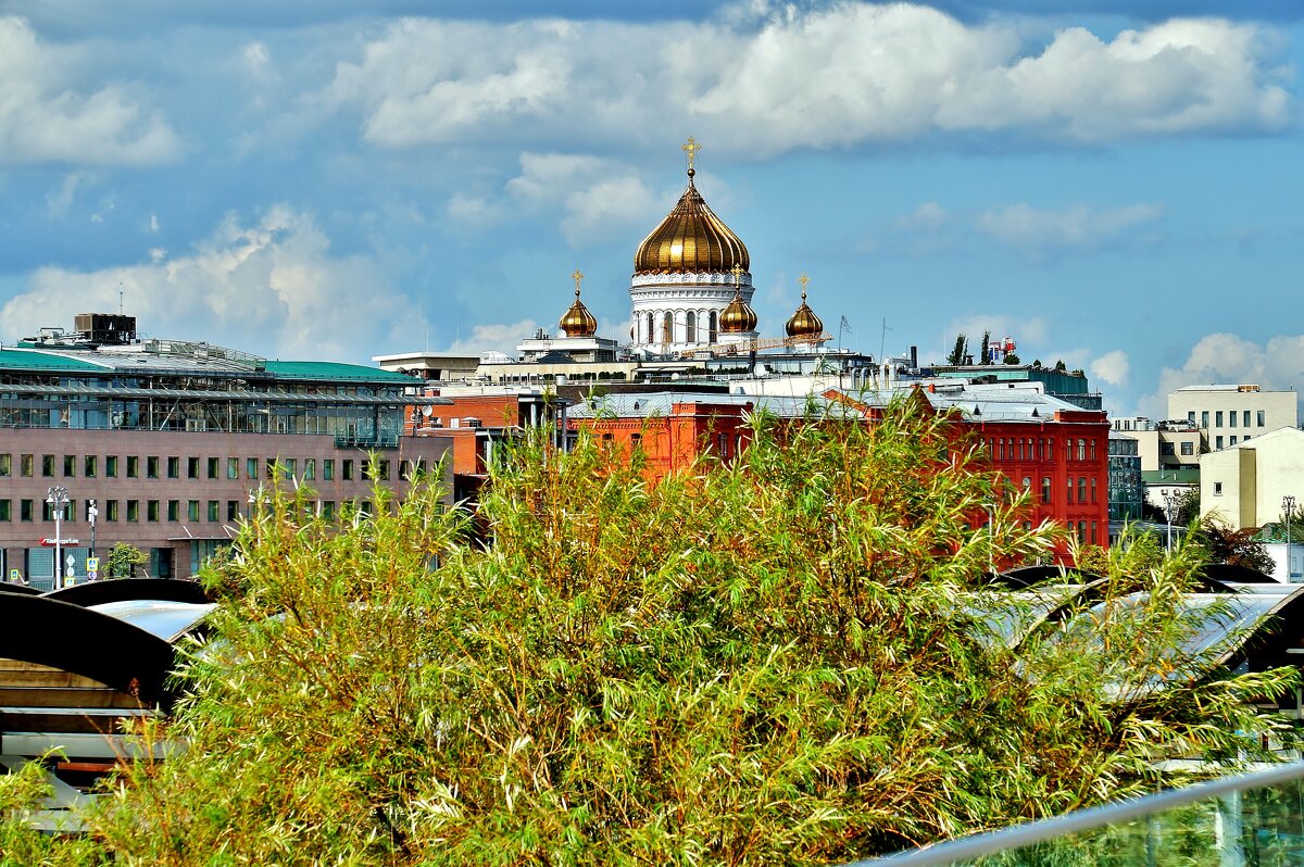 МОСКОВСКИЕ ВИДЫ - АЛЕКСАНДР 