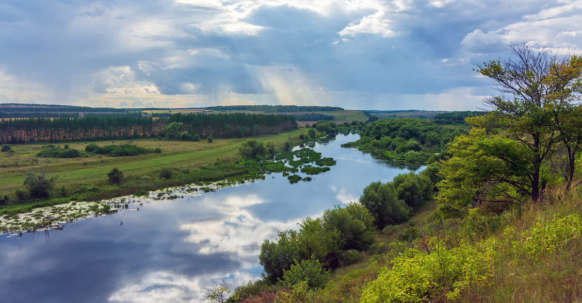 *** - Виталий Емельянов