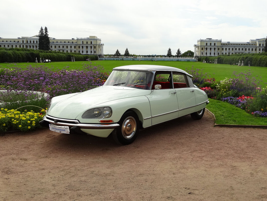 Citroen DS 23 - Павел WoodHobby