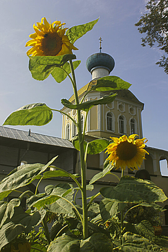 Церковь Крылечко - Сергей Кочнев