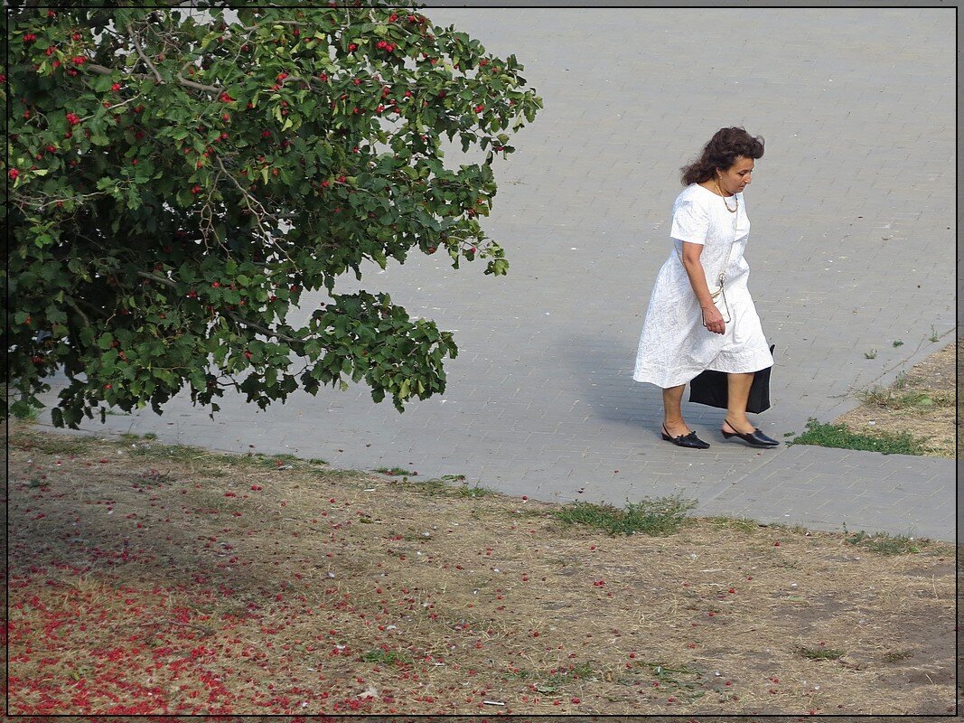 Лето уходит - Сеня Белгородский