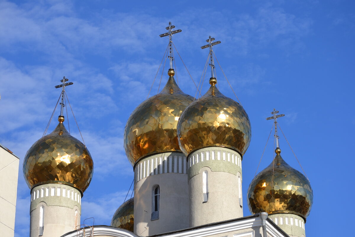 Солнце и золото - Георгиевич 